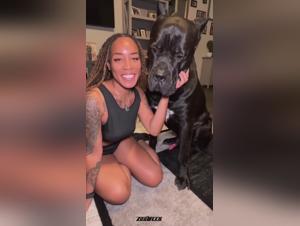 Dog sex videos: an extreme experience