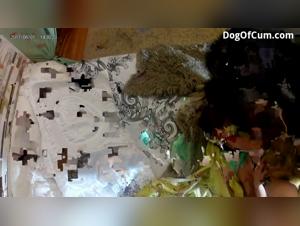 Dog Sex Amateur Videos - An Extreme Experience