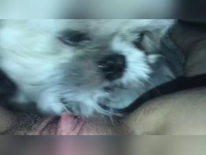 Live a Unique Sexual Experience with our Bestiality Video