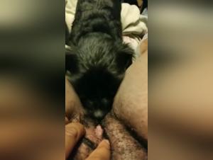 Amateur Dog Sex and Intense Orgasms