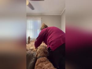 Schauen Sie sich Hardcore-Sexszenen mit Bestialitat an