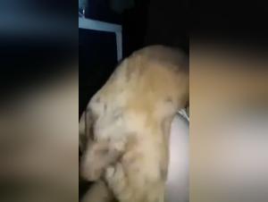 Bestiality sex video with Brazilian woman and dog