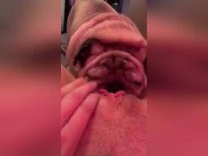 Bestiality sex video: an extreme experience