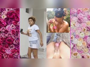 dog knot and animalsex