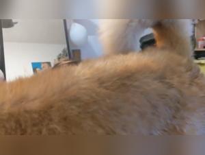 Extreme zoophilia video with a Ukrainian friend