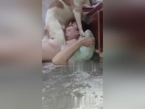 Dog sex video: a one-of-a-kind experience