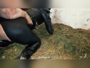 An exploration of zoophilia and bestiality