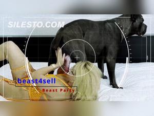 Analyzing the Ethics: Dog Pornography