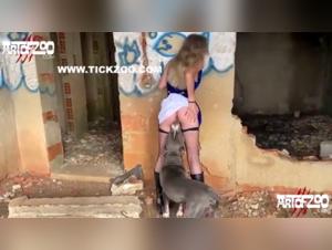 Discover the Art of Bestiality with ArtofZoo