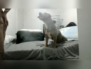 Raccolta Indiscreta di Momenti Intimi