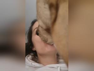 Experience the Taboo World of Bestiality with This Explicit Dog Sex Video