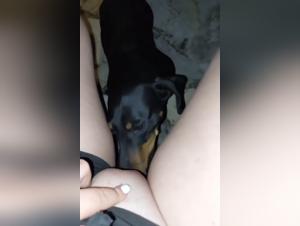 Uncover the Intense Passion of Dog Sex Videos