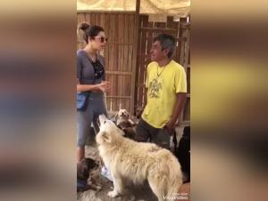 Bestiality zoophilia: an extreme experience