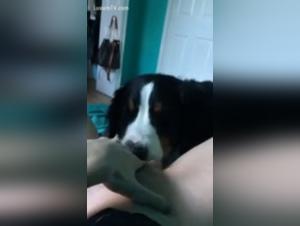 Discover a submissive woman who loves extreme pleasures with a dog