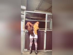 Bestiality: a tattooed amateur woman and a horse in a hot video