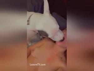Bestiality video with LexiBaby and a dog
