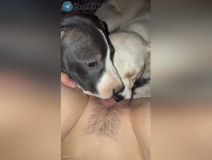 Animal delight, raw and prohibited sex