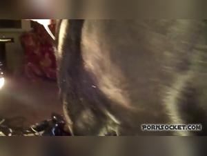 Sex Scene with a Dog - Hard Video