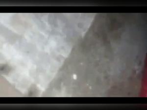 explore dog fuckin up