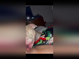 Zoophilia video with a woman and her dog