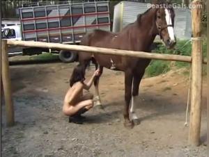 Piacere di sottomissione degli animali, proibiti e hardcore