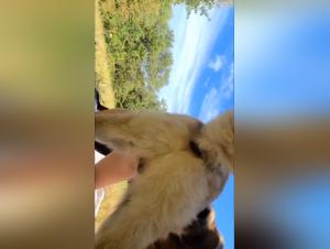 Discover the hardest and most exciting zoophilia videos