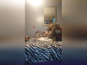 Discover the pleasures of bestiality with this dog sex video