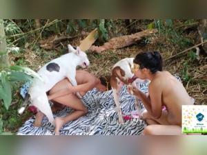 Discover the World of Zoophilia with Dogs