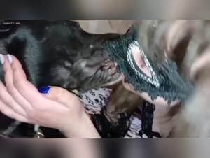 denise frazier fucking dog