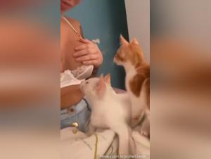 The slut and her feline, a prohibited and burning passion