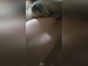 Une explication simple des chromosomes de sexe chez les chiens