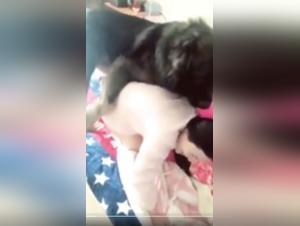 Extreme Zoophilia Scene with a Bird and a Dog