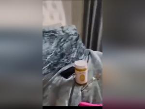 Pornsocket: Raw and Unfiltered