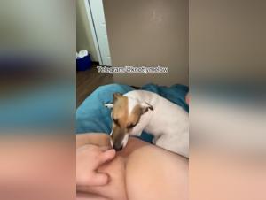 Hundefreuden, grenzenlose Intimität