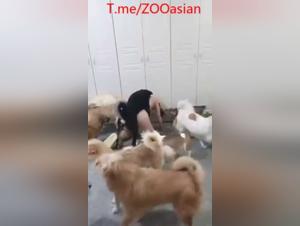 Befreiung vom Verlangen: Wenn die Frau sich ihrem Hund hingibt