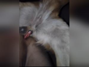 Ethics and the Temptation of Forbidden Desires