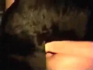 Beastly video with a woman and her dog