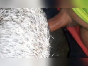 Pornovolk & Ethics: Homemade Beastiality Concerns