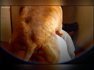 Descubre los diferentes escenarios de violacion con una nina y sus beneficios