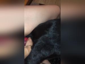Watch this intense dog sex scene