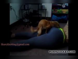 A unique experience in the world of zoophilia