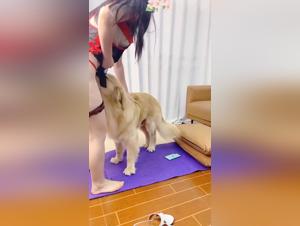 La baise sexy entre un couple lesbien et mon chien