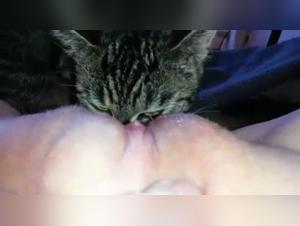 Bestiality - A Unique Experience