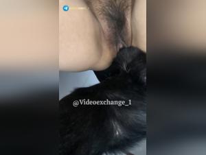 Domination féline inversée