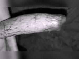 Watch This Woman Have Fun With A Dog In This Hardcore Video