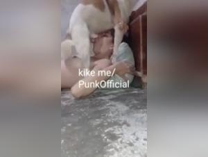 Sex video with a dog: a unique and shocking experience