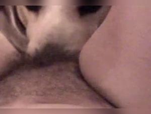 Sex video with dog: discover the forbidden pleasures