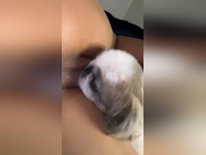 Extreme images of bestiality sex with a dog