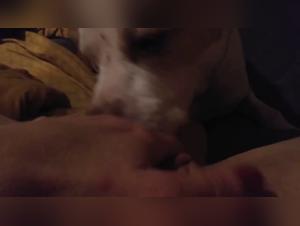 Les plus belles scènes de bestialité avec des femmes et des chiens