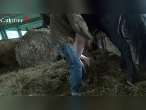 Video of Bestiality with Horse: An Extreme Experience